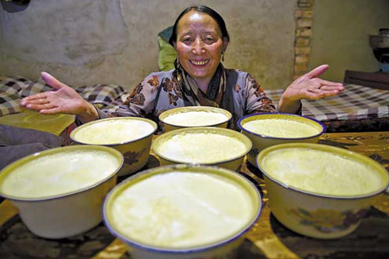 Gia đình người Tạng dựng lều ăn linka và uống sữa chua trong Norbulingka