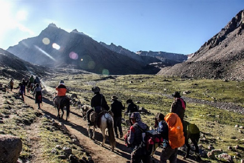 Ngựa thồ và người vác đồ hỗ trợ du khách trên đường kora Kailash