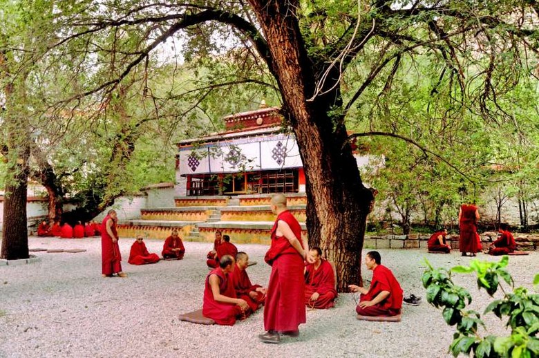  Nhà sư phái Gelug đội mũ vàng trong một tu viện ở Lhasa